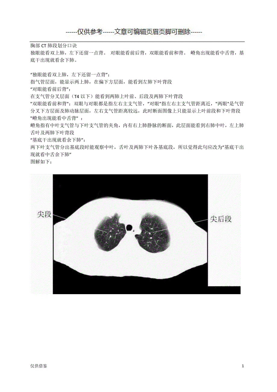 胸部CT肺段划分口诀[严选材料]_第1页