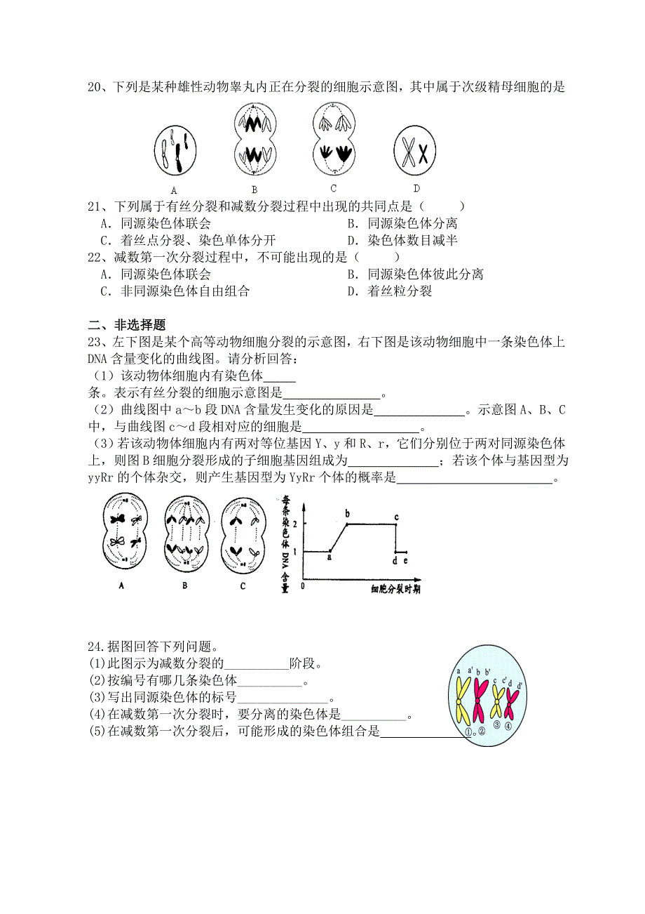 基础训练：有丝和减数专题训练 (2)(教育精品)_第3页