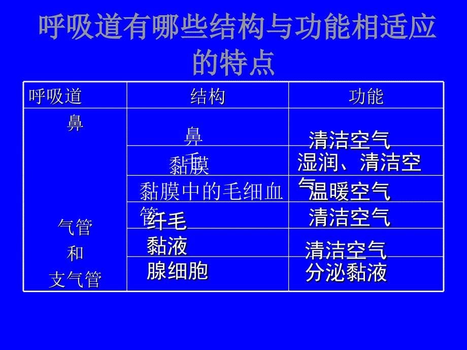 呼吸道对空气的处理11795_第5页