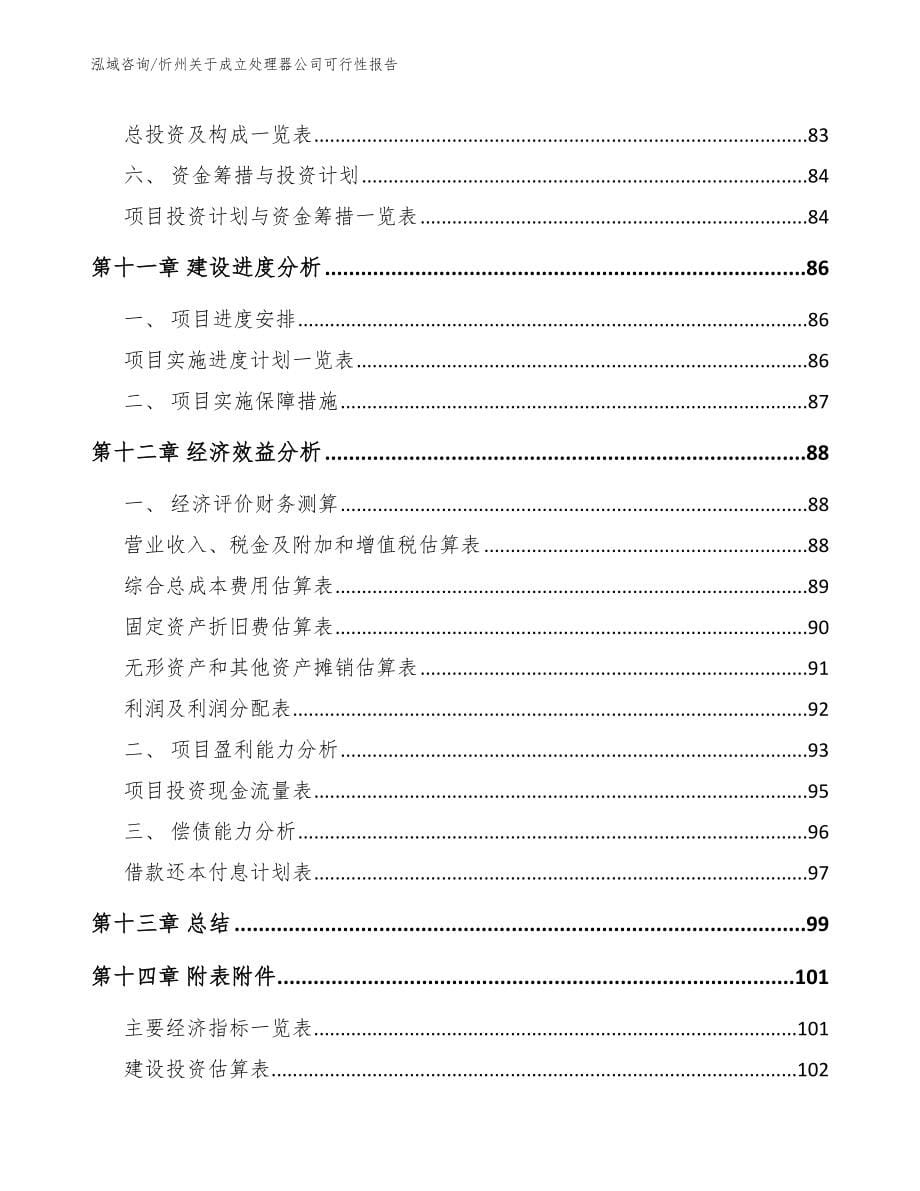 忻州关于成立处理器公司可行性报告范文_第5页