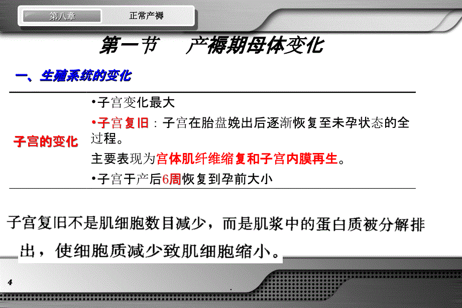 正常产褥ppt课件_第4页