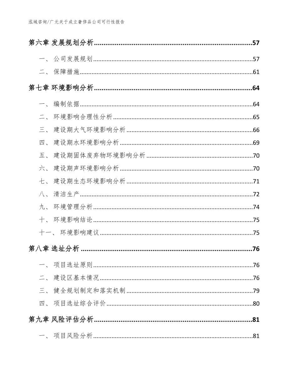 广元关于成立奢侈品公司可行性报告模板范文_第5页