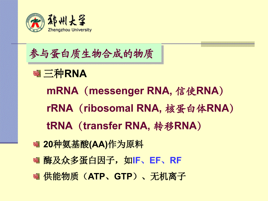 生物化学：第十四章 蛋白质的生物合成（翻译）_第4页