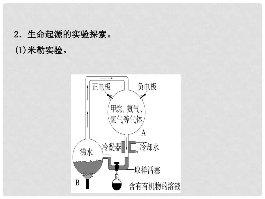 中考生物 第五单元复习课件_第4页