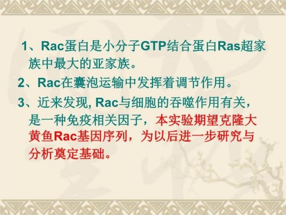 最新大黄鱼Rac基因cDNA全长克隆及分析PPT课件PPT课件_第4页