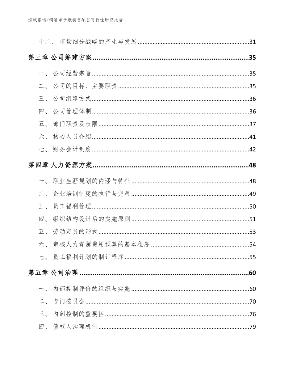 铜陵电子纸销售项目可行性研究报告_第3页