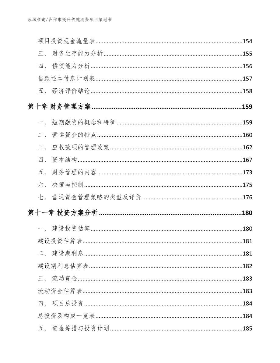 合作市提升传统消费项目策划书参考模板_第5页