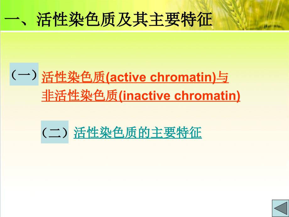 染色质结构与基因转录_第4页