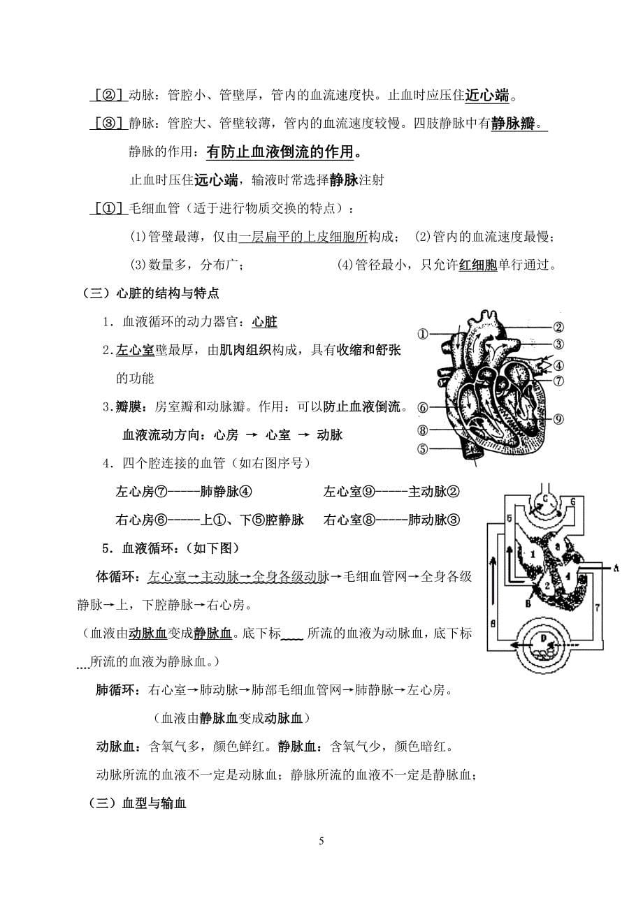 小金县美兴中学初一2_第5页