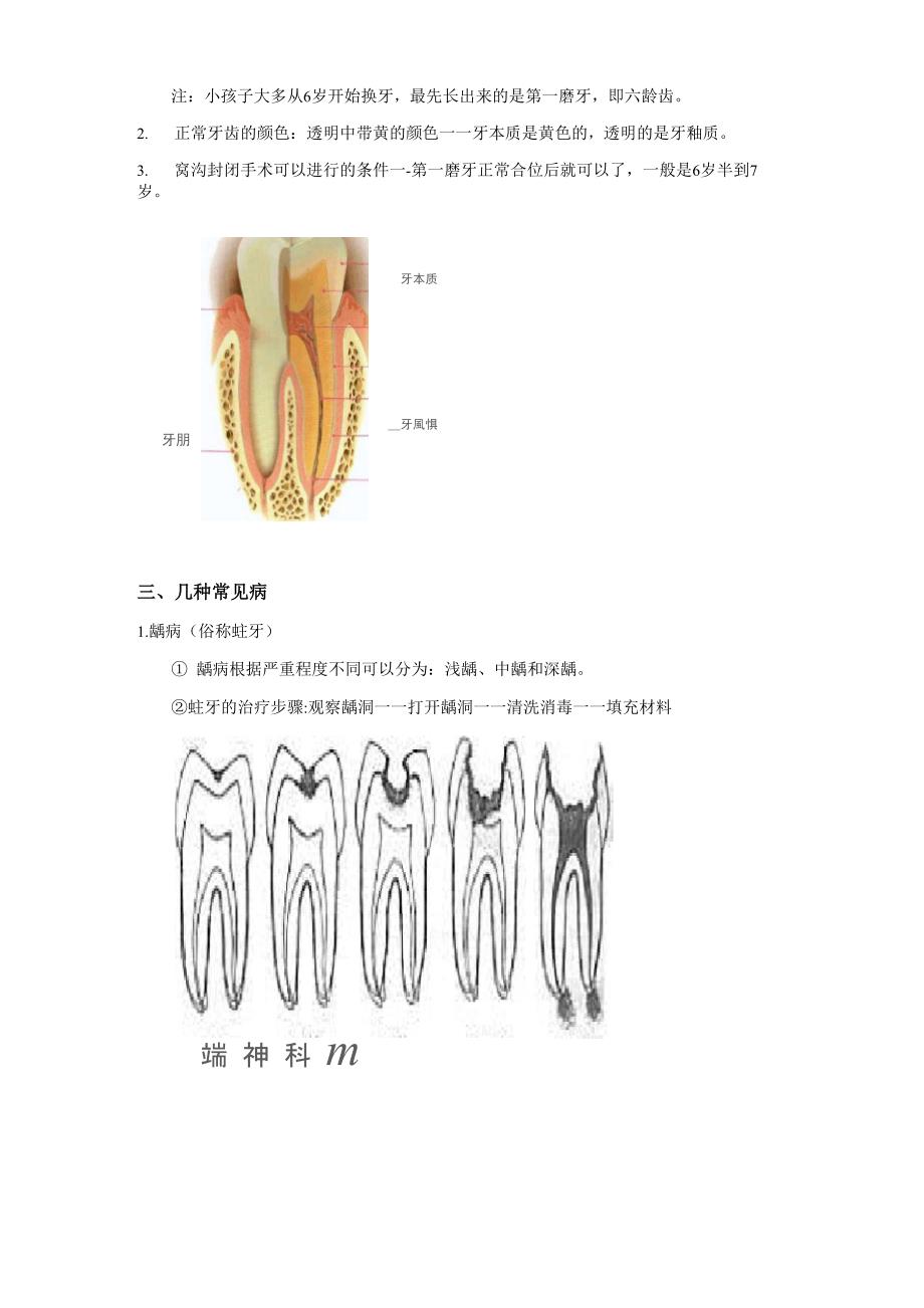 口腔常识培训_第3页