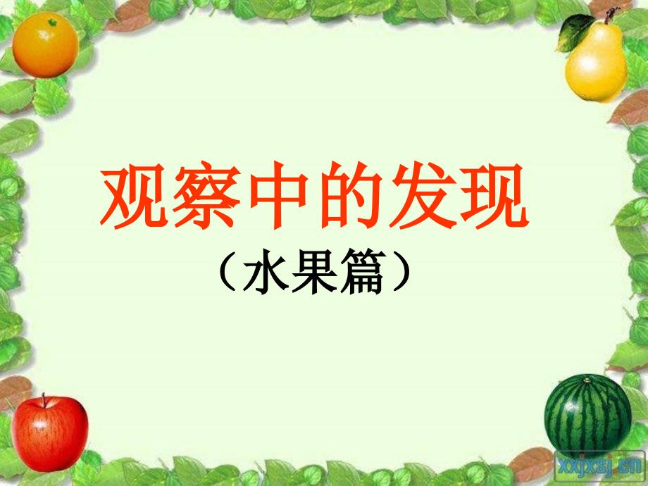 观察中的发现(水果篇).ppt_第1页