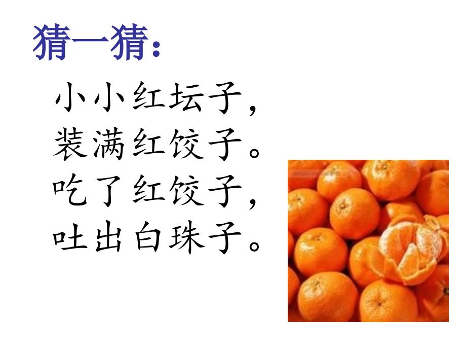 观察中的发现(水果篇).ppt_第2页