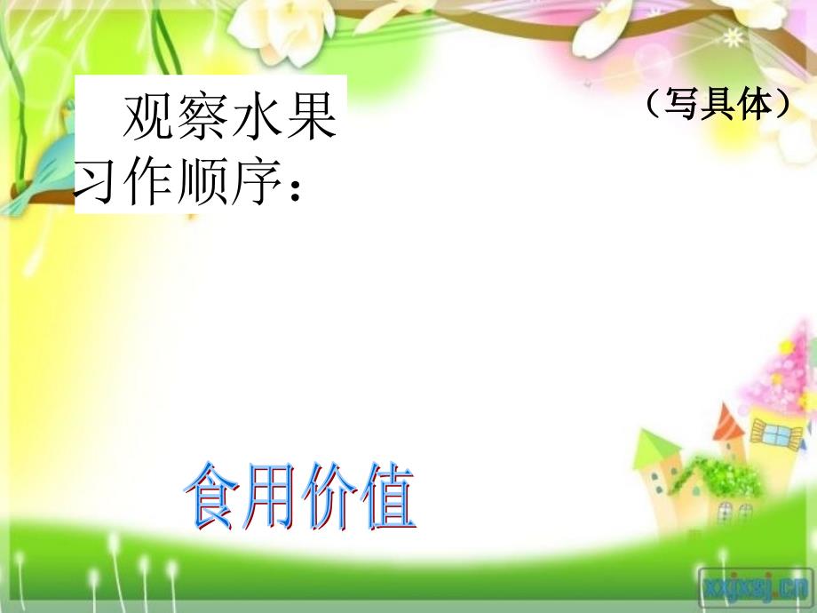 观察中的发现(水果篇).ppt_第3页