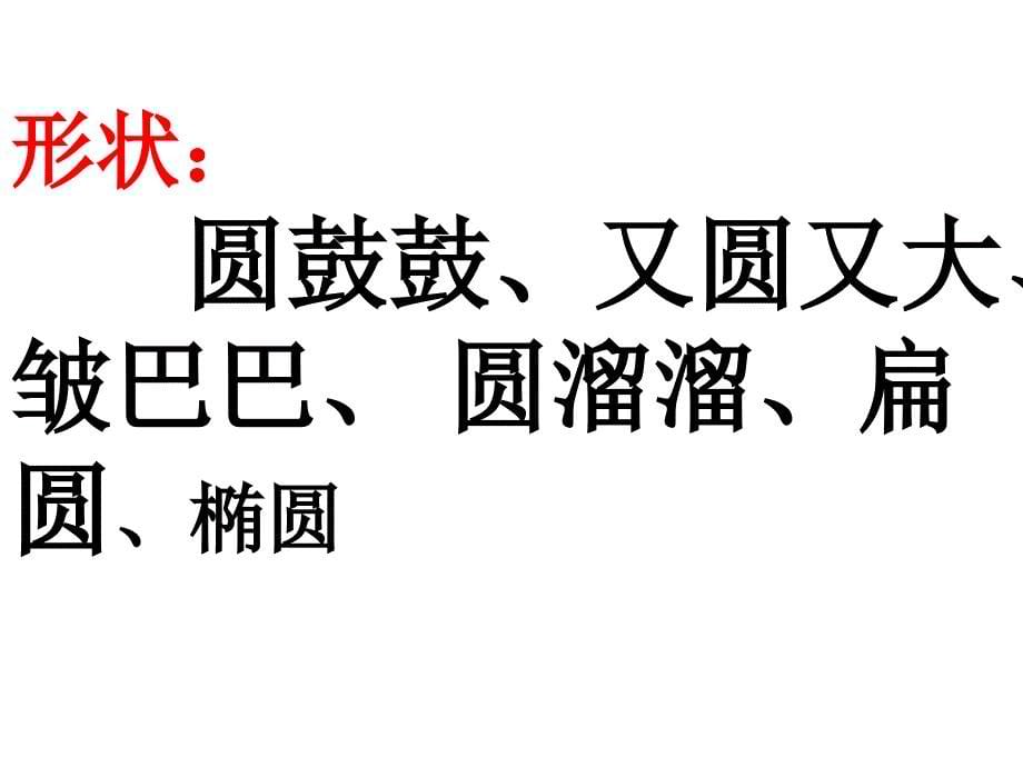 观察中的发现(水果篇).ppt_第5页