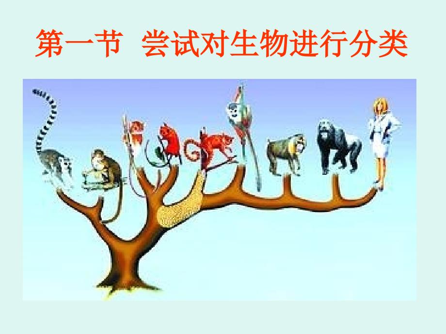 611尝试对生物进行分类_第1页