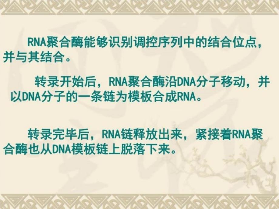 最新原核细胞的基因结构ppt课件_第3页