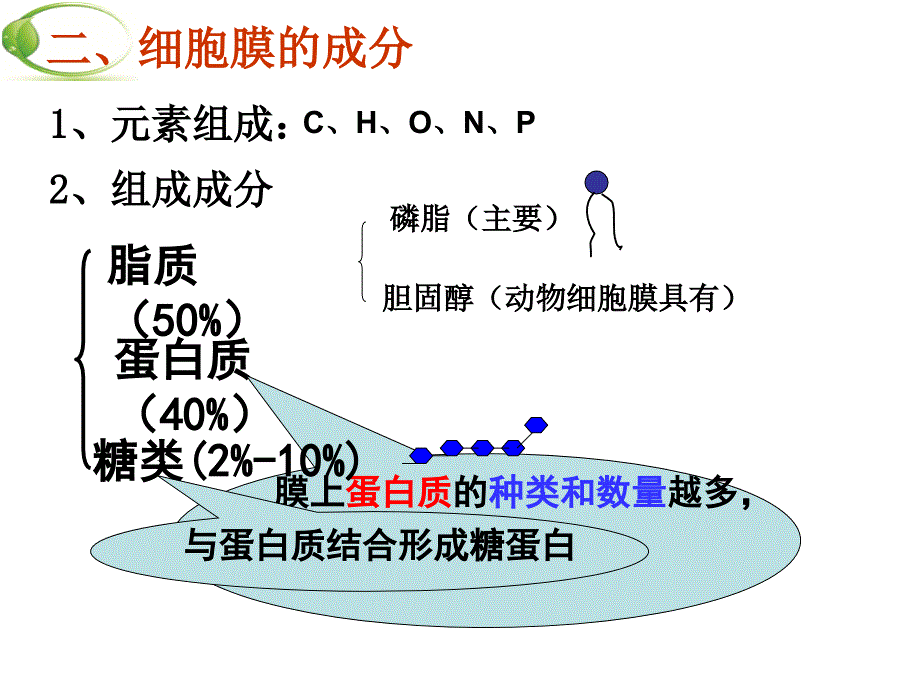 生物一轮复习--第五讲-细胞膜和细胞核_第4页