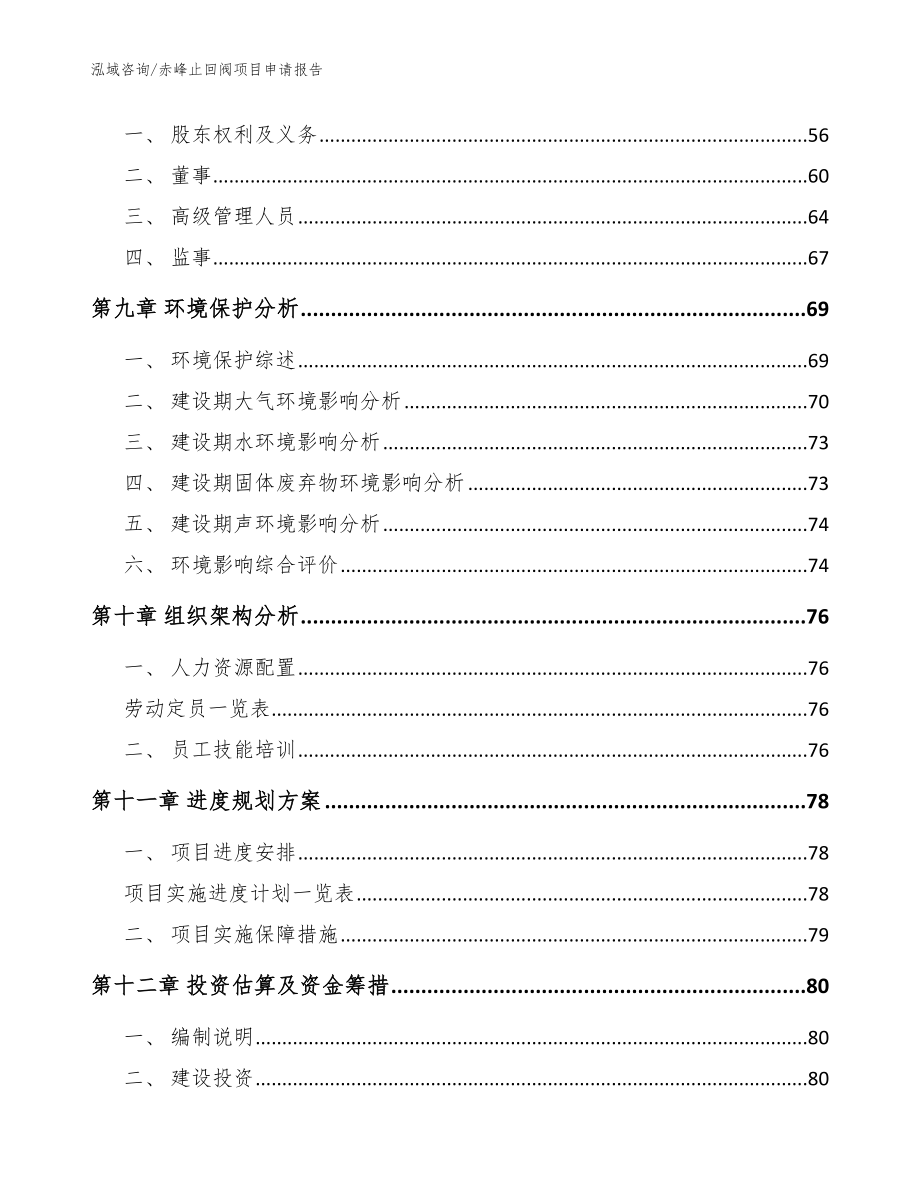 赤峰止回阀项目申请报告（参考模板）_第4页