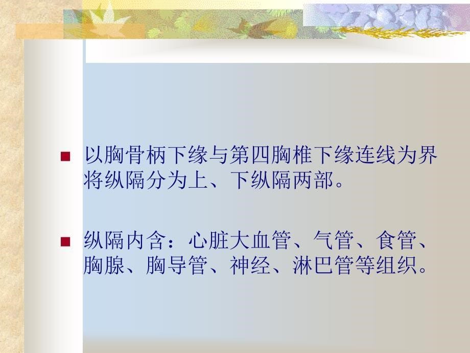 原发性纵隔肿瘤课件_第5页