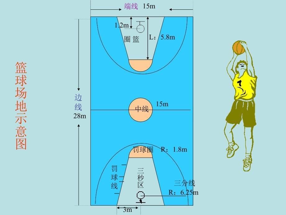 体育课件：篮球基本知识共14张_第5页