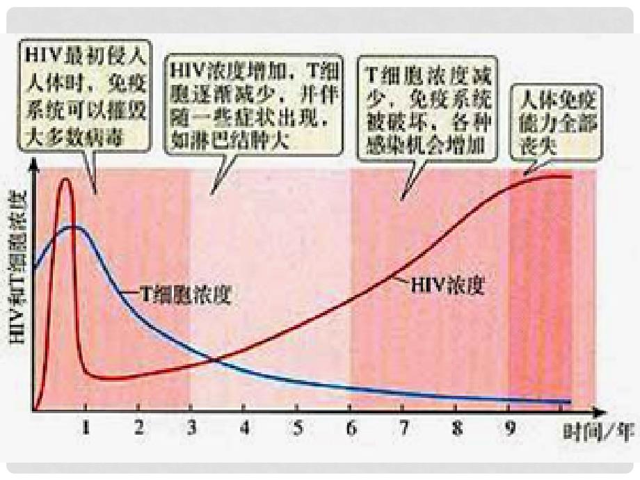 高中生物：第3章免疫系统与免疫功能课件（1）（浙科版必修3）_第4页