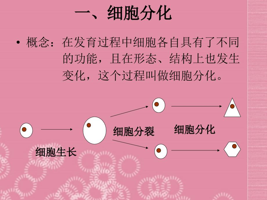 人教初中生物七上《第2单元 生物体的结构层次》PPT课件 (3)_第2页