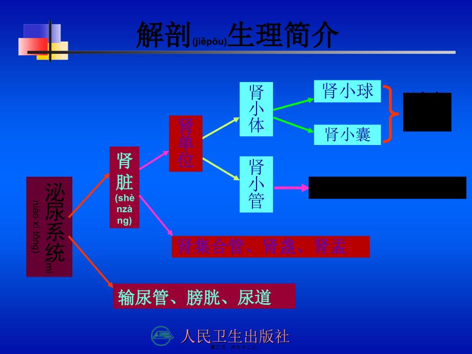 医学专题—泌尿系统001分析资料18457_第3页