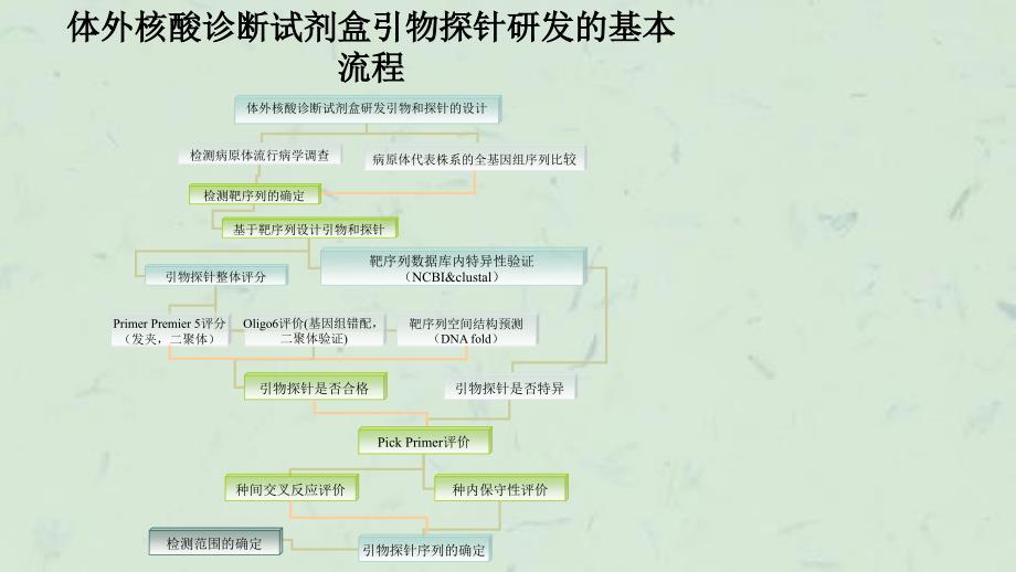 体外核酸诊断试剂盒引物探针研发的基本流程课件_第1页