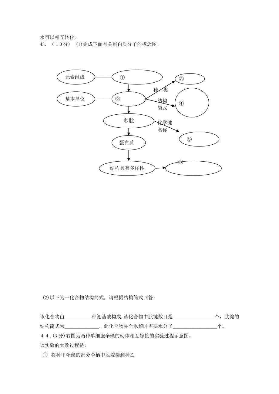 江西省九江1011高一生物上学期期中考试新人教版会员独享_第5页