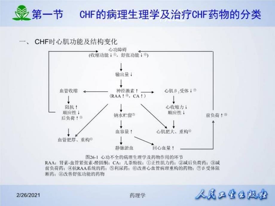 最新北京大学药理学课件第二十六章治疗心力衰竭的药物PPT课件_第4页