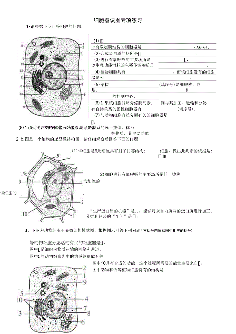 细胞器识图专项练习_第1页