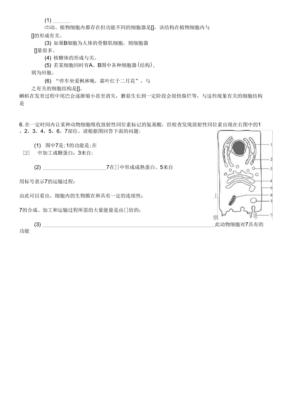 细胞器识图专项练习_第3页