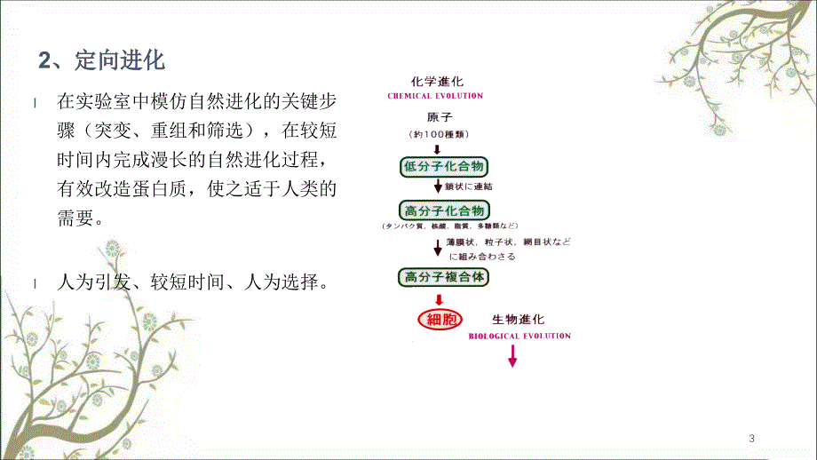 酶的定向催化课件_第3页