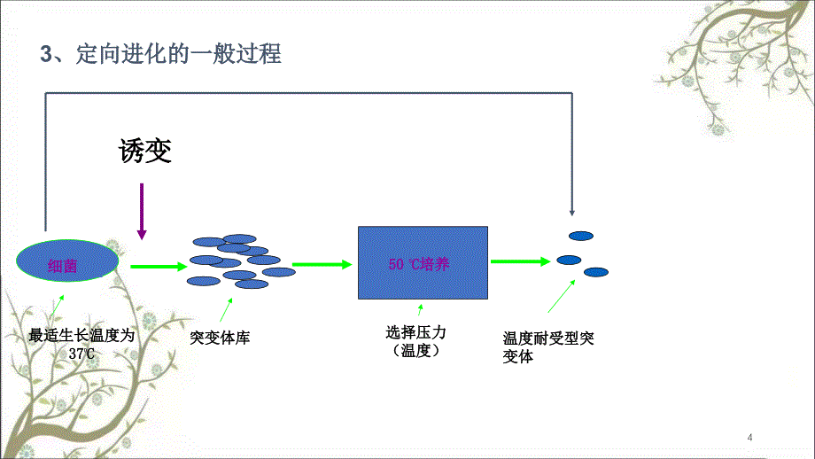 酶的定向催化课件_第4页