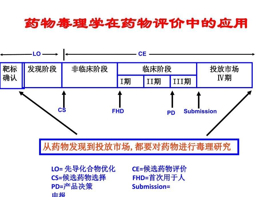 药物毒理学：药物安全性评价_第5页