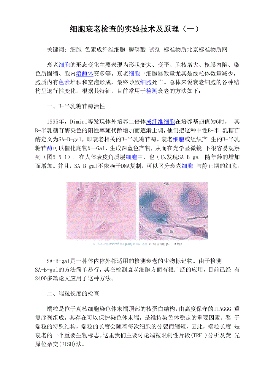 细胞衰老检查的实验技术及原理_第1页