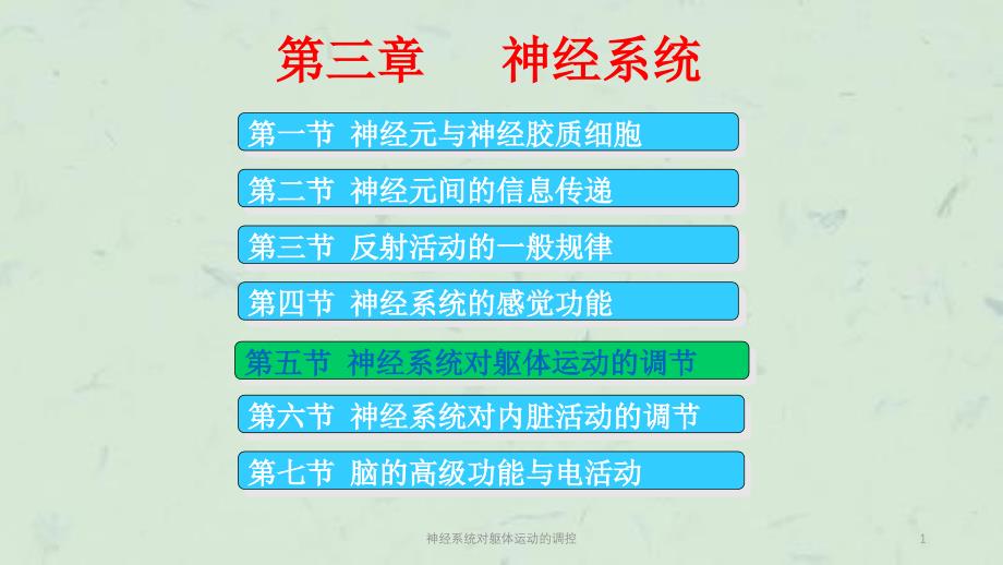 神经系统对躯体运动的调控课件_第1页