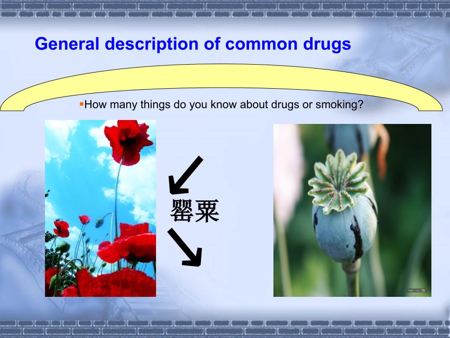 module2nodrugs详解_第2页