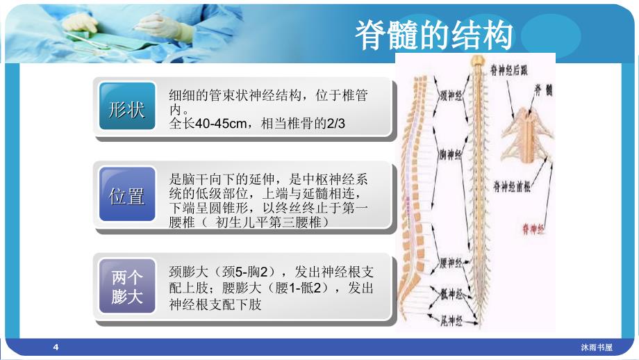 颈髓损伤的护理查房[智囊书苑]_第4页