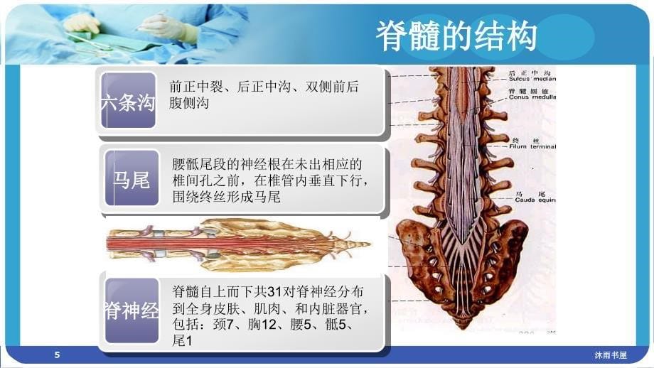 颈髓损伤的护理查房[智囊书苑]_第5页