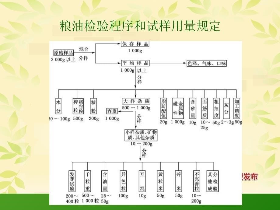 粮食类实训项目_第5页