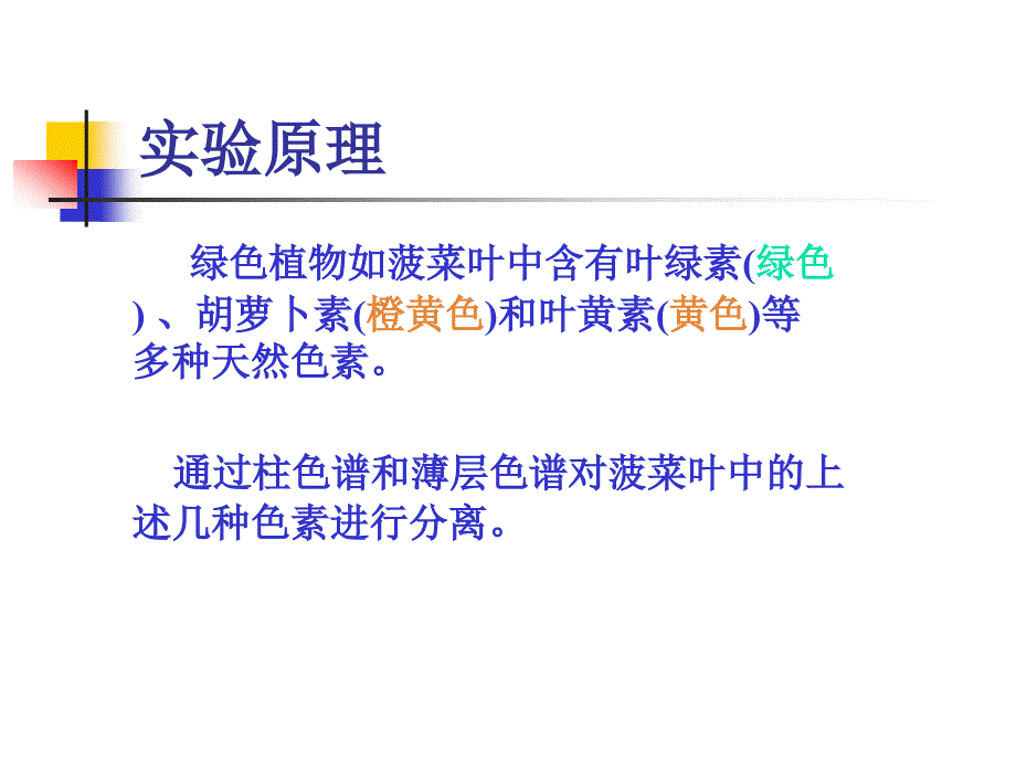 菠菜色素的提取与分离.ppt_第3页