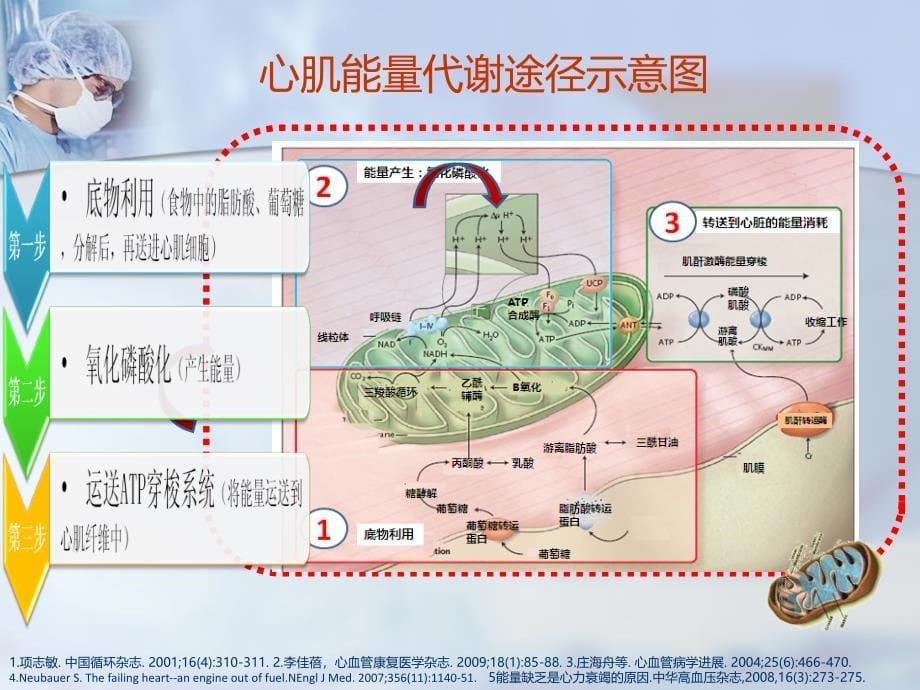 心力衰竭心肌能量代谢-白玲上海_第5页