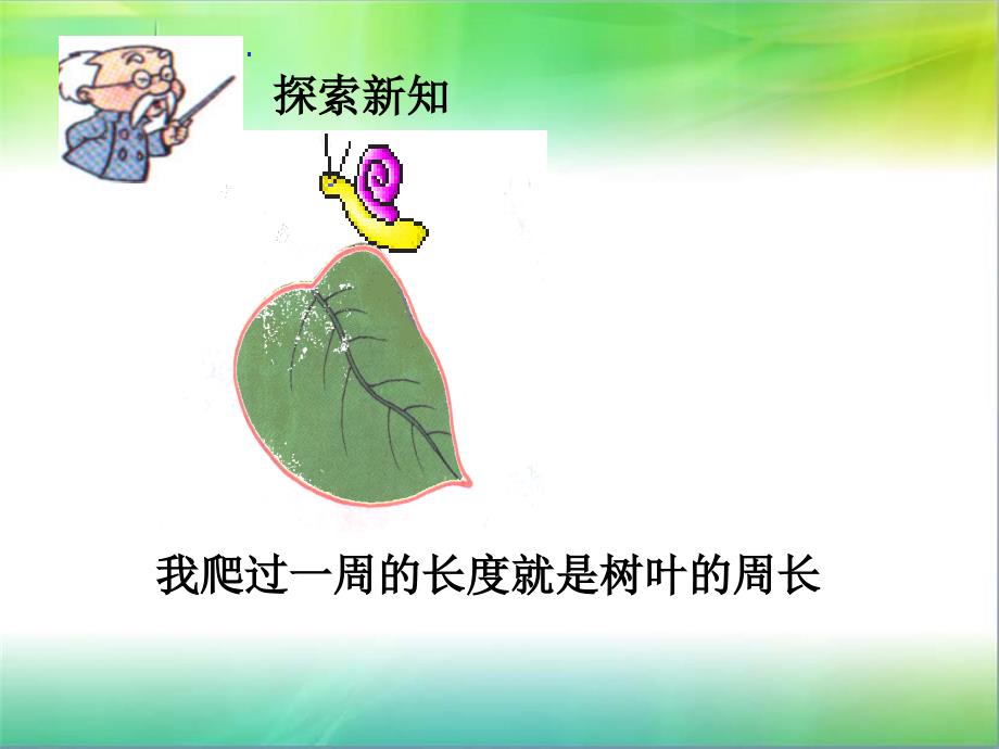 北师大版数学三年级上册周长的认识PPT课件严雪兰_第4页