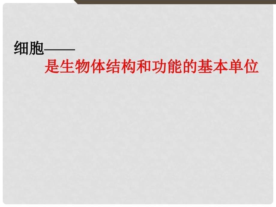 河北省平泉四海中学七年级生物上册 2.1.1 练习使用显微镜课件 （新版）新人教版_第5页