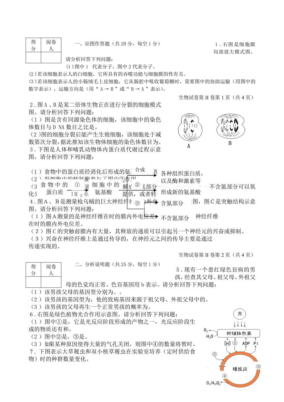 春季生物会考_第5页