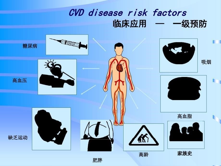 冠心病一级、二级预防_第5页