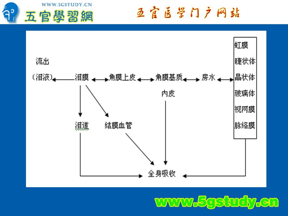 眼科用药教学PPT课件_第4页