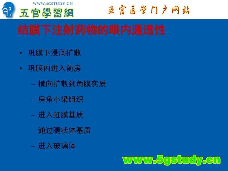 眼科用药教学PPT课件_第5页