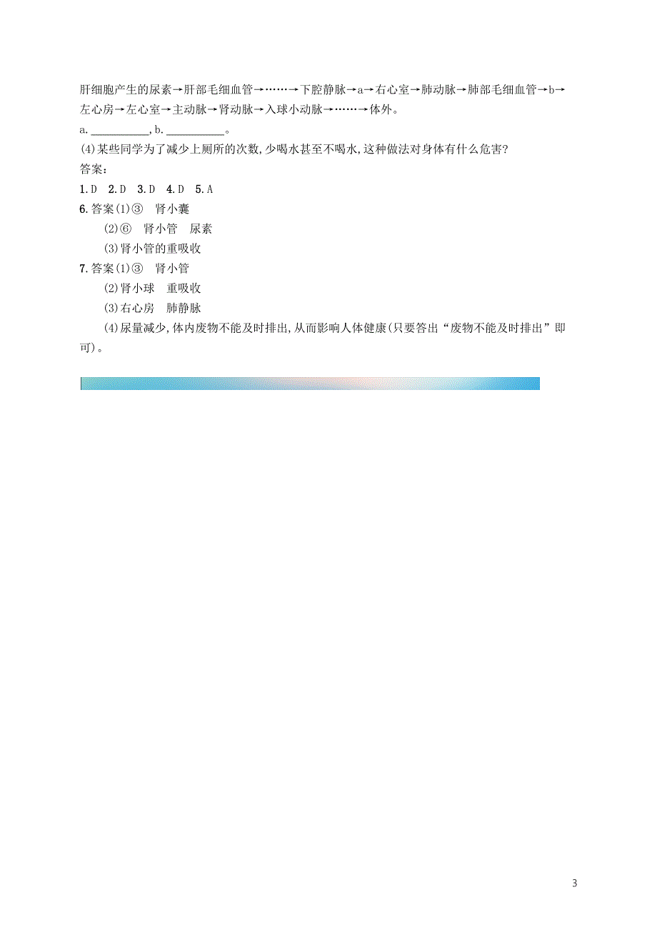 （福建专版）2019春七年级生物下册 第四单元 生物圈中的人 第五章 人体内废物的排出知能演练提升 （新版）新人教版_第3页